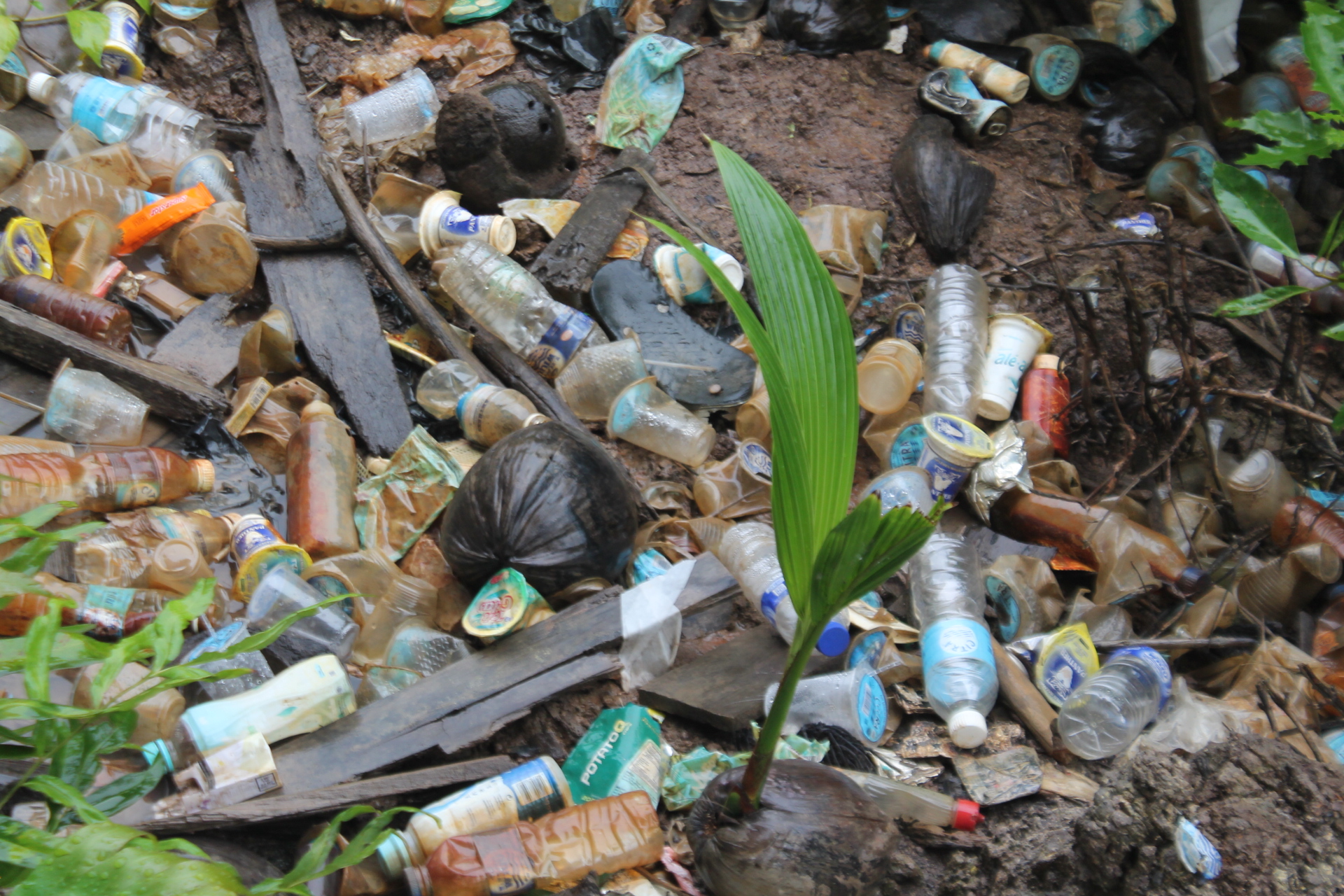 Membuang Sampah Sembarangan dalam Tinjauan  Islam